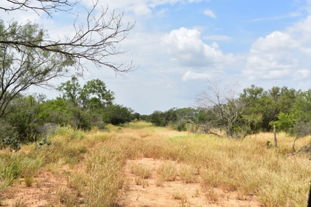 North Laredo Development Property - image 20