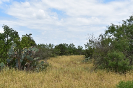 North Laredo Development Property - image 16