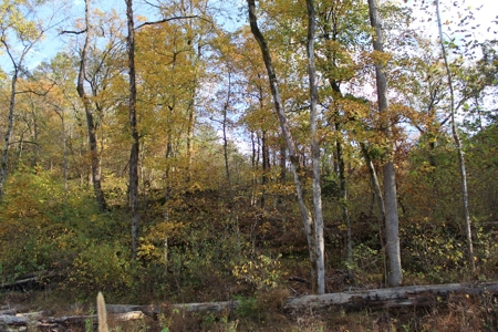 North Fork Riverfront Property - Southern Missouri Ozarks - image 4