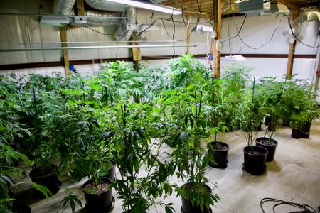 Oklahoma Commercial Marijuana Facility For Sale - image 34