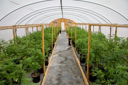 Oklahoma Commercial Marijuana Facility For Sale - image 45