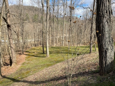 Woodsfield OH Country home on Acreage - image 17