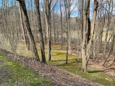 Woodsfield OH Country home on Acreage - image 16