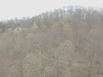 Woodsfield OH Country home on Acreage - image 23