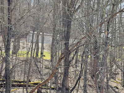Woodsfield OH Country home on Acreage - image 20