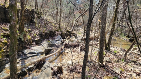 Land For Sale Near Branson East - image 29