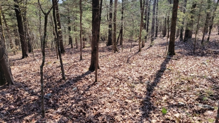 Land For Sale Near Branson East - image 17