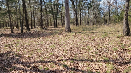 Land For Sale Near Branson East - image 22