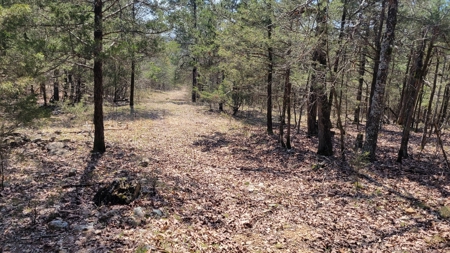 Land For Sale Near Branson East - image 15