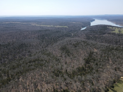 Land For Sale Near Branson East - image 40