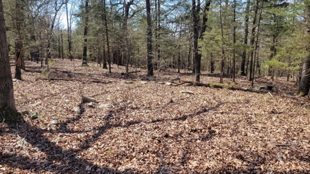 Land For Sale Near Branson East - image 19