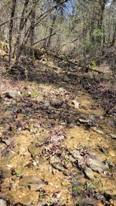 Land For Sale Near Branson East - image 25