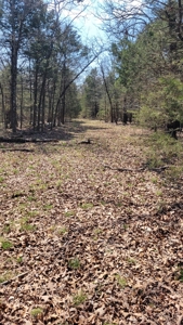 Land For Sale Near Branson East - image 18