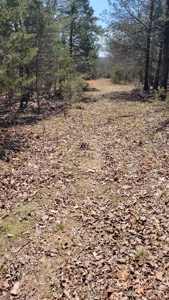 Land For Sale Near Branson East - image 32