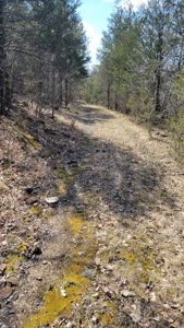 Land For Sale Near Branson East - image 23