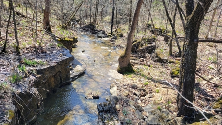 Land For Sale Near Branson East - image 30