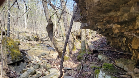 Land For Sale Near Branson East - image 11