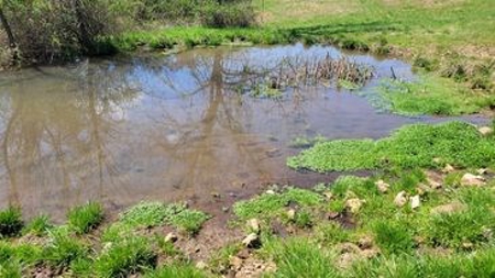 Land For Sale Near Branson East - image 4