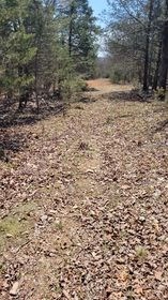 Land For Sale Near Branson East - image 5