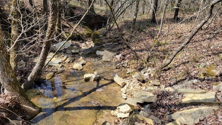 Land For Sale Near Branson East - image 8