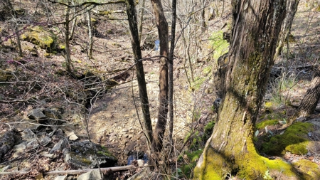 Land For Sale Near Branson East - image 10