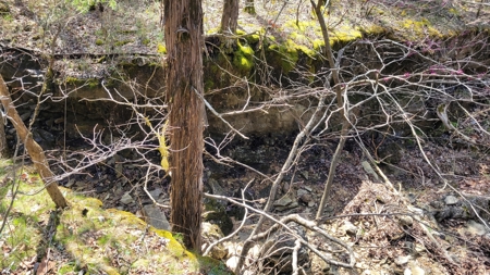 Land For Sale Near Branson East - image 9