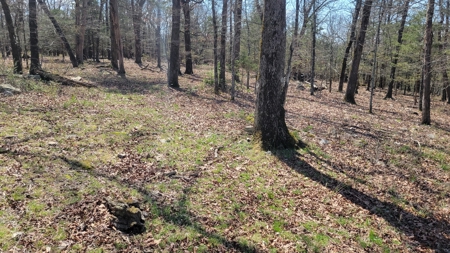 Land For Sale Near Branson East - image 36