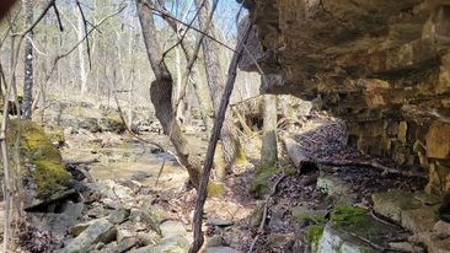 Land For Sale Near Branson East - image 3