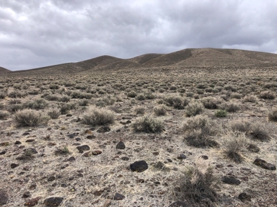 Nevada Residential Buildable Land Lot For Sale in Fernley NV - image 4