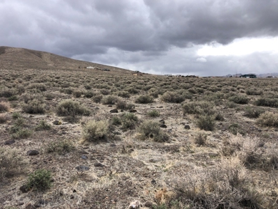 Nevada Residential Buildable Land Lot For Sale in Fernley NV - image 8