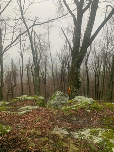 Cabin with Mountain Views in Monticello KY - image 26