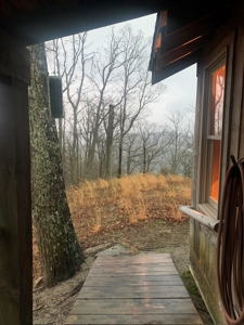 Cabin with Mountain Views in Monticello KY - image 24