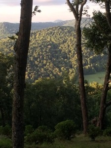 Cabin with Mountain Views in Monticello KY - image 47