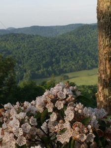 Cabin with Mountain Views in Monticello KY - image 40