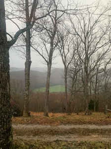 Cabin with Mountain Views in Monticello KY - image 23