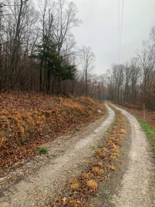 Cabin with Mountain Views in Monticello KY - image 38