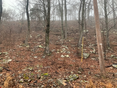 Cabin with Mountain Views in Monticello KY - image 37