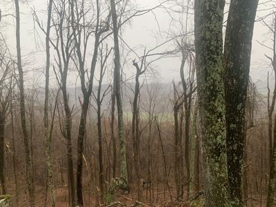 Cabin with Mountain Views in Monticello KY - image 27