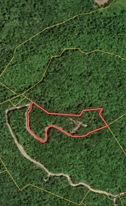 Cabin with Mountain Views in Monticello KY - image 39