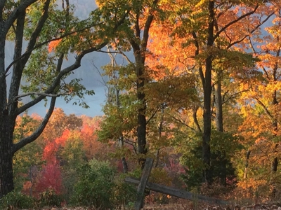 Cabin with Mountain Views in Monticello KY - image 46