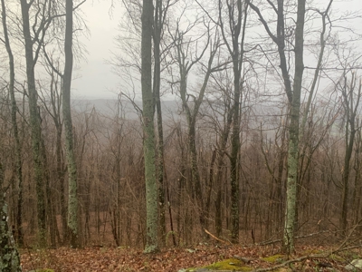 Cabin with Mountain Views in Monticello KY - image 32
