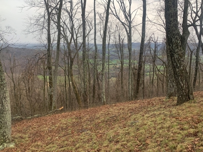 Cabin with Mountain Views in Monticello KY - image 2