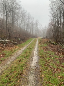 Cabin with Mountain Views in Monticello KY - image 36