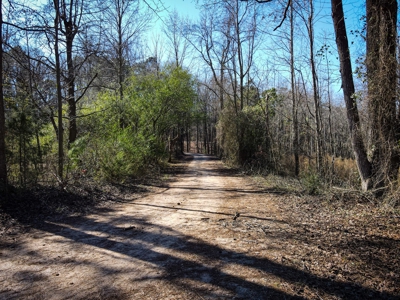 Land For Sale in Pageland SC - image 17