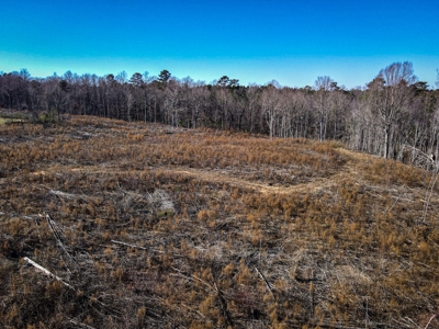 Land For Sale in Pageland SC - image 12