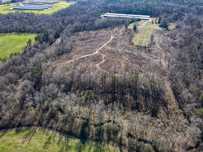 Land For Sale in Pageland SC - image 5