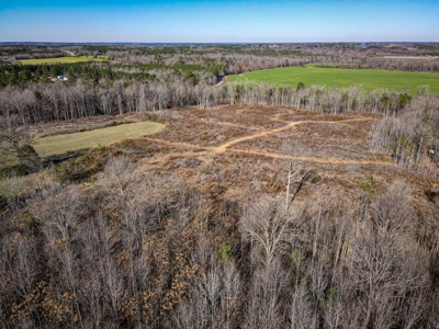 Land For Sale in Pageland SC - image 15