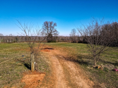 Land For Sale in Pageland SC - image 8