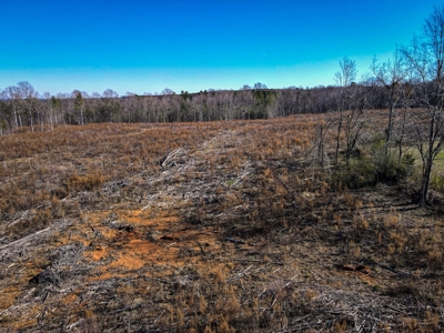 Land For Sale in Pageland SC - image 11