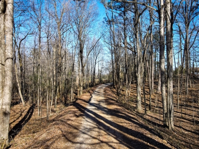 Land For Sale in Pageland SC - image 18